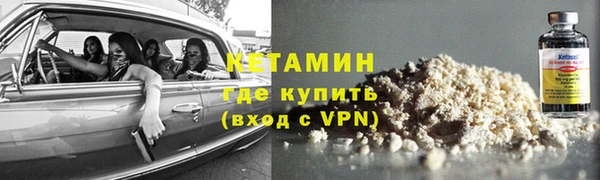 мдпв Ельня