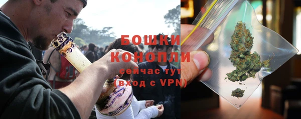 прущие крисы Елабуга