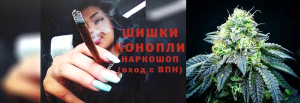 мдпв Ельня