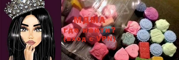 мдпв Ельня