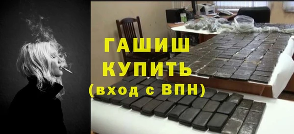 мдпв Ельня