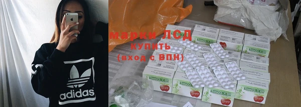 мдпв Ельня