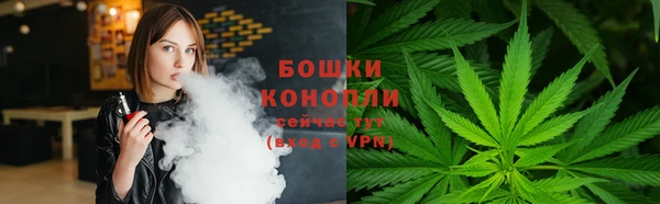 прущие крисы Елабуга