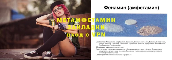 мдпв Ельня
