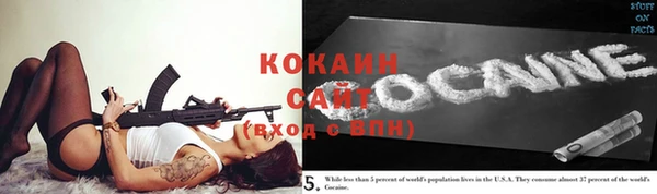 крисы Заводоуковск
