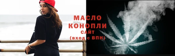 мдпв Ельня