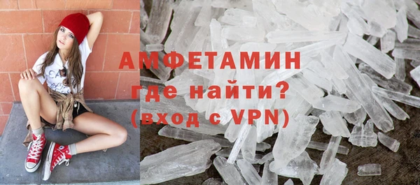 мдпв Ельня