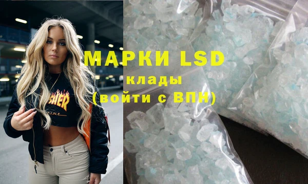 стаф Елизово