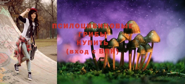 крисы Заводоуковск
