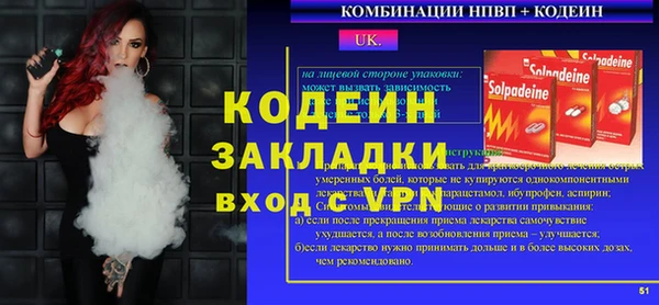 мдпв Ельня