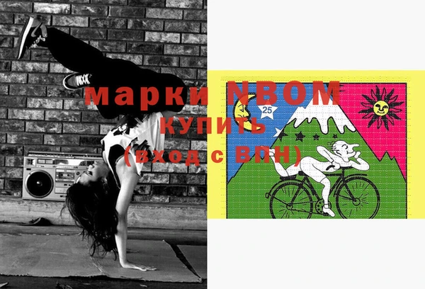 стаф Елизово