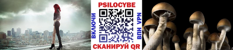 mega зеркало  Западная Двина  Псилоцибиновые грибы Magic Shrooms 
